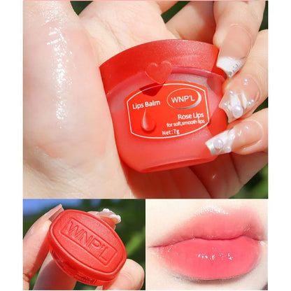 New 4/6/8pcs Moisturizing Lip Balm Sets Lipstick Makeup Natural Plant Base Moisturizer Lip Balm Anti-Cracking Lips Skin Care