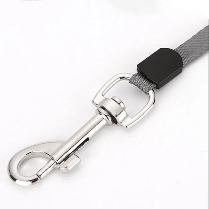 Nylon Dog Leash Automatic Retractable Durable Laisse pour chien rétractable automatique et durable