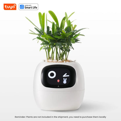 Tuya Ivy Smart Planter,Endless Fun Over 49 Rich Expressions,7 smart sensors,AI Chips Make Raising Plants Easy and Fun