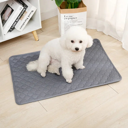 Dog Pee Pad Blanket Reusable Absorbent Diaper Washable Puppy Training Pad